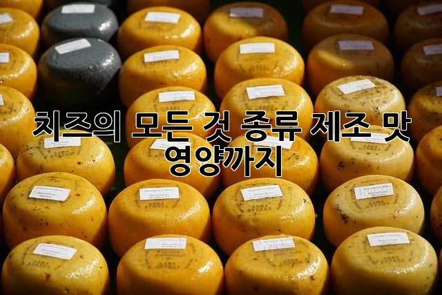 치즈의 모든 것: 종류, 제조, 맛, 영양까지!