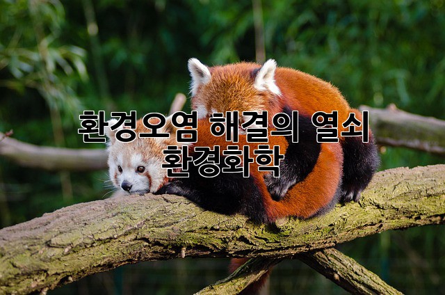 환경오염 해결의 열쇠, 환경화학