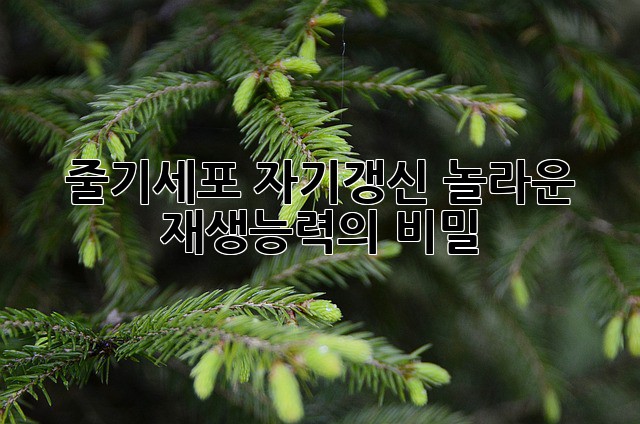줄기세포 자기갱신: 놀라운 재생능력의 비밀