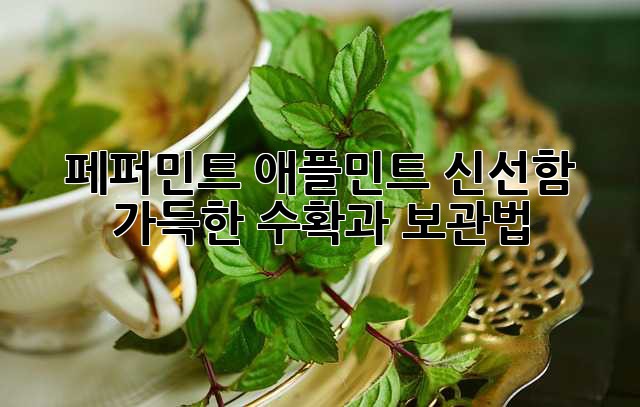 페퍼민트 애플민트: 신선함 가득한 수확과 보관법
