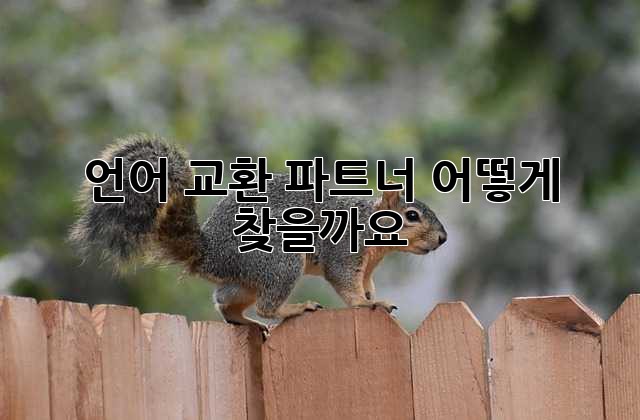 언어 교환 파트너, 어떻게 찾을까요?