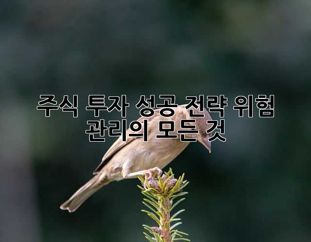 주식 투자 성공 전략: 위험 관리의 모든 것