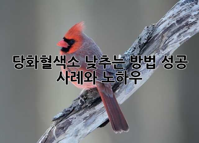 당화혈색소 낮추는 방법: 성공 사례와 노하우