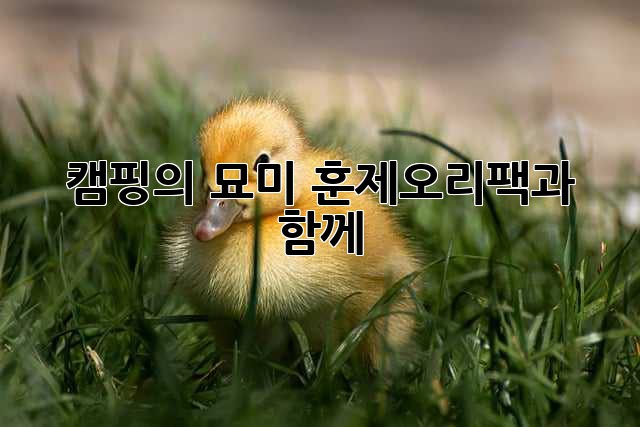 캠핑의 묘미, 훈제오리팩과 함께!