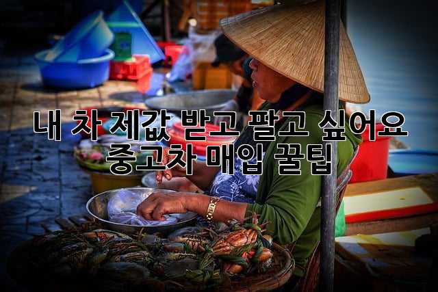 내 차, 제값 받고 팔고 싶어요? 중고차 매입 꿀팁!