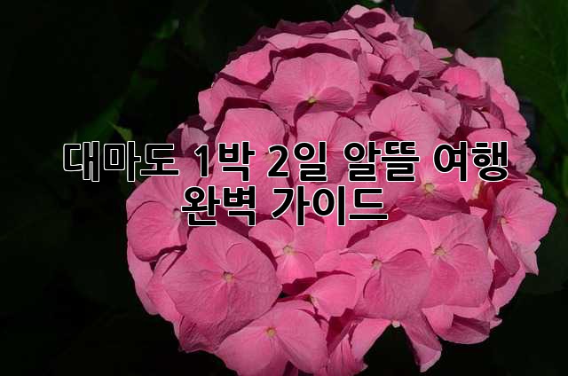 대마도 1박 2일 알뜰 여행 완벽 가이드