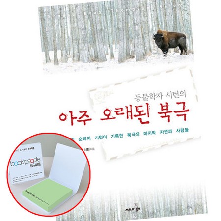 놓치면 후회! 아주오래된북극❄️ 솔직 후기 & 꿀팁 대방출!