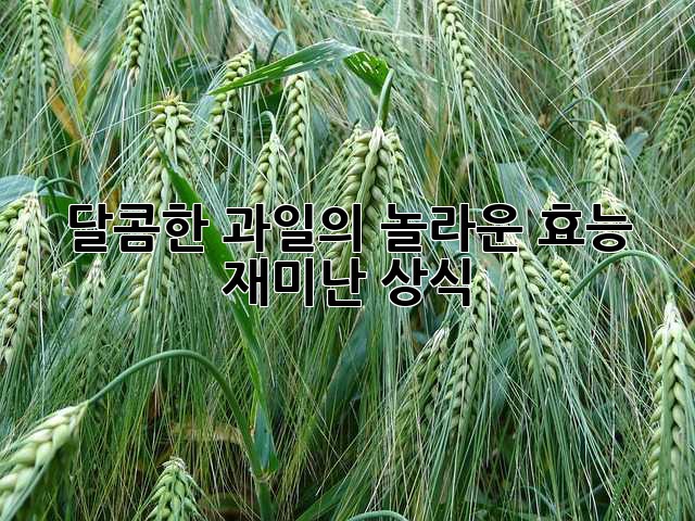 달콤한 과일의 놀라운 효능: 재미난 상식!