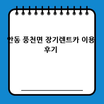 안동 풍천면 장기렌트카 이용 후기