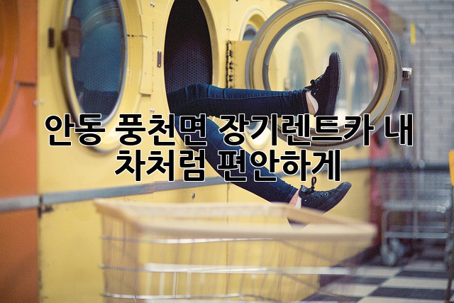 안동 풍천면 장기렌트카, 내 차처럼 편안하게!