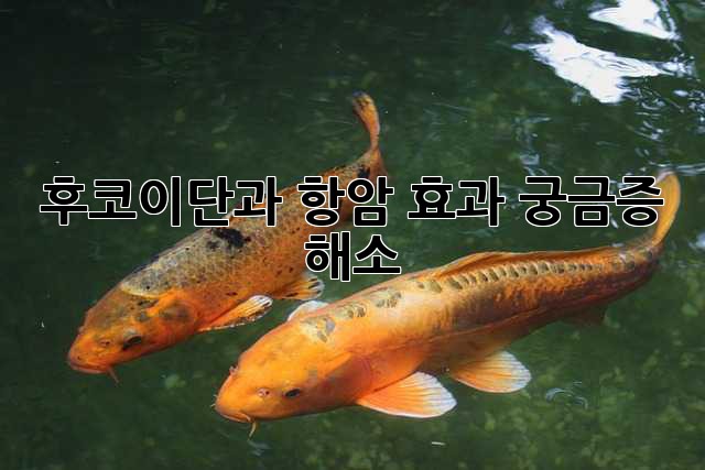 후코이단과 항암 효과: 궁금증 해소